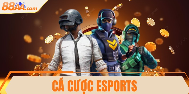 Cá cược Esports - Đỉnh cao giải trí trong thời đại mới 13 Cá cược Esports - Đỉnh cao giải trí trong thời đại mới